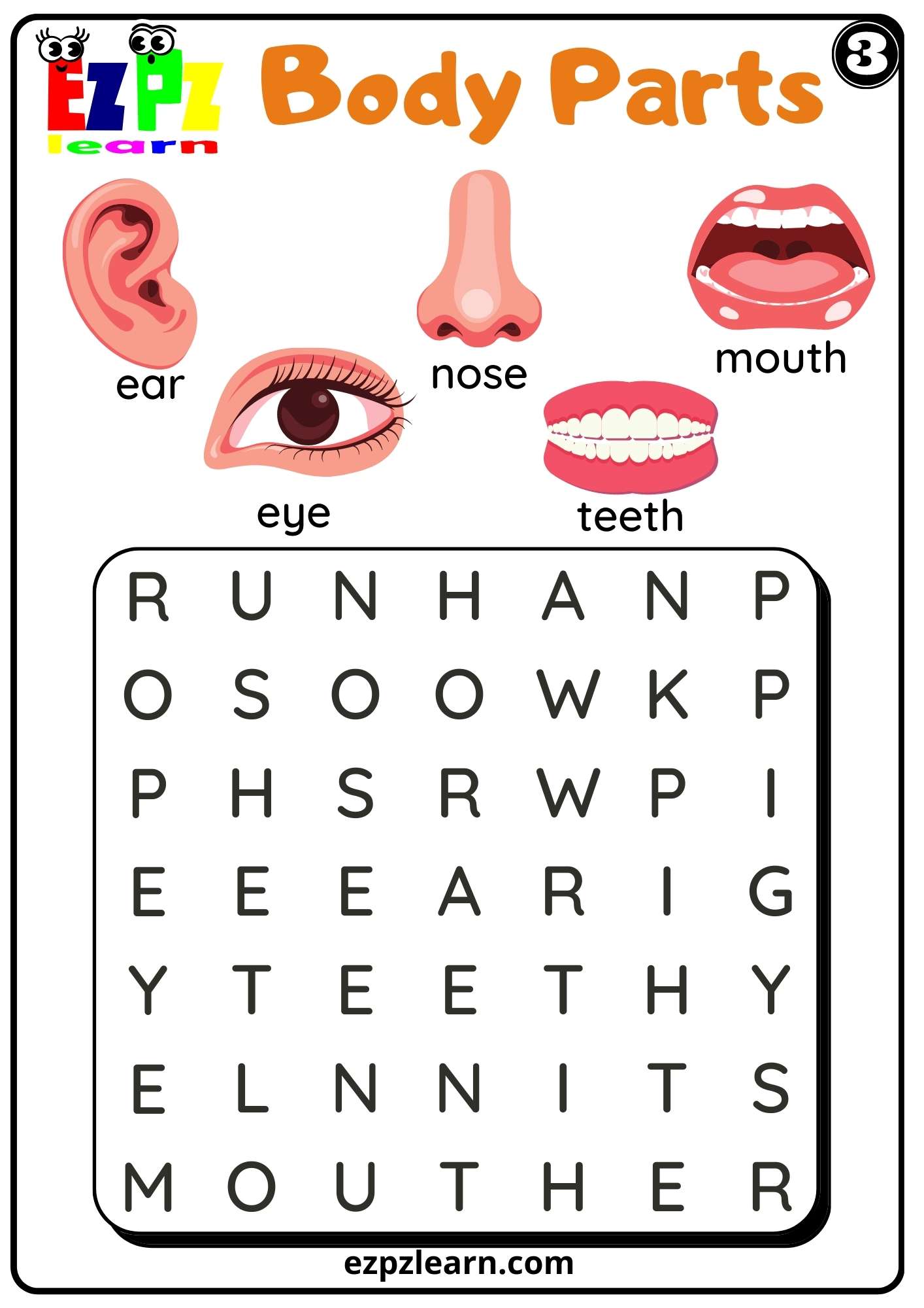 Body Parts Read Word Search for Kids and ESL PDF Download Set number 3